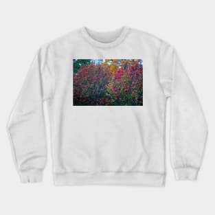 Red Green And Yellow Trees Crewneck Sweatshirt